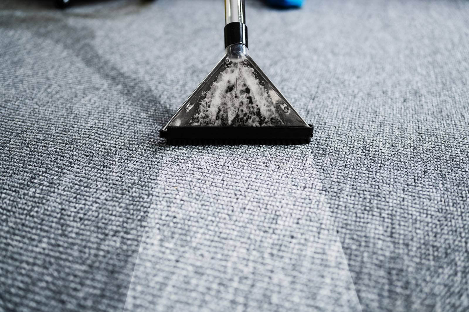 Mighty Clean Carpet Cleaning