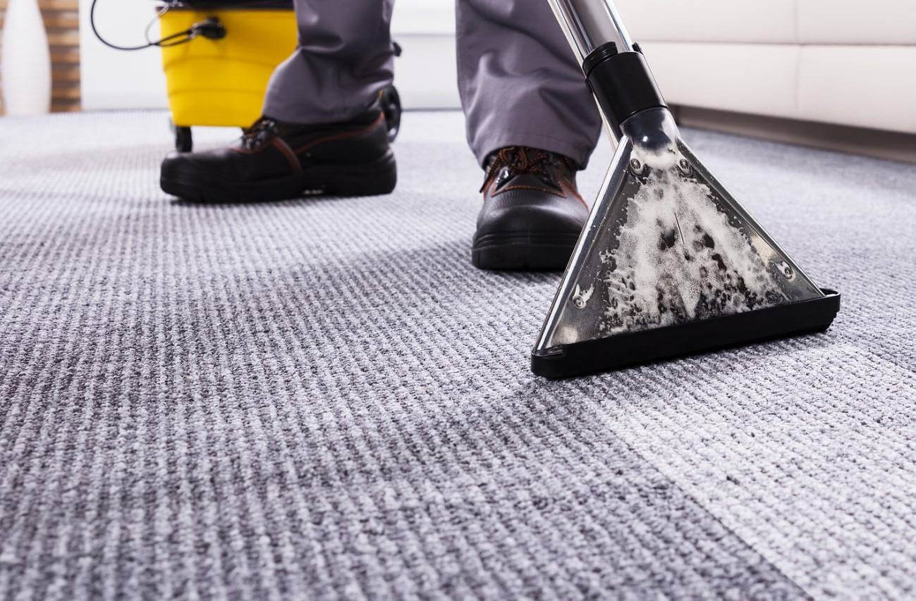Mighty Clean professional with gray pants cleaning carpeted area