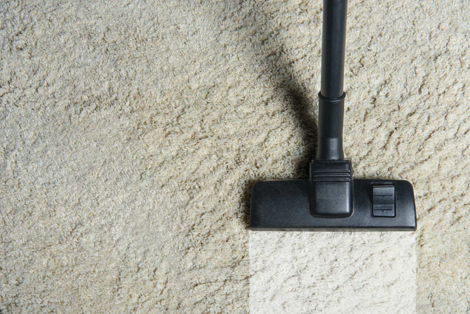 black carpet cleaner cleaning dirty carpet