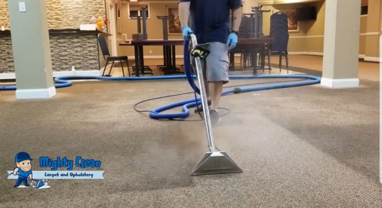 Expert Carpet Cleaning Service