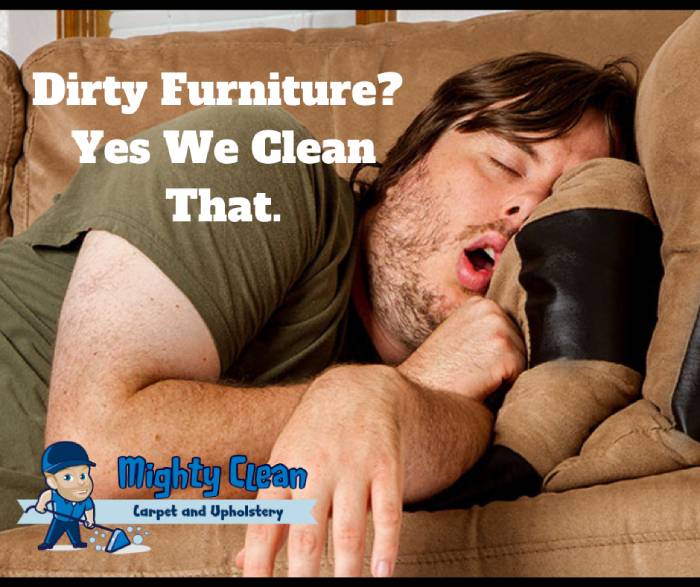 Upholstery Cleaning